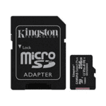 KINGSTON Original 256GB Micro SD Memory Card