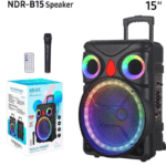 NDR-B15 Portable Bluetooth 15" Speaker